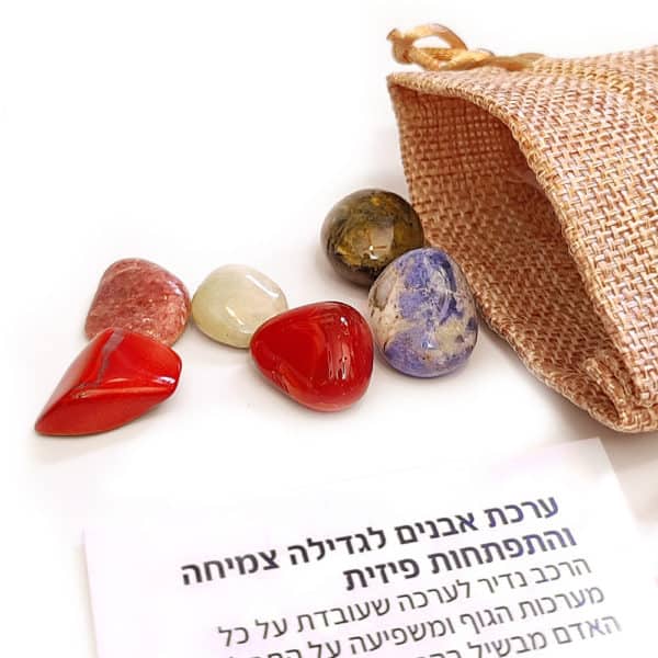 גדילה צמיחה התפתחות פיסית