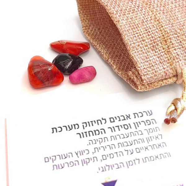 ערכת אבנים לסידור המחזור !